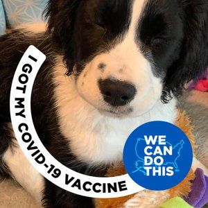 Meet your Posher, Beverly